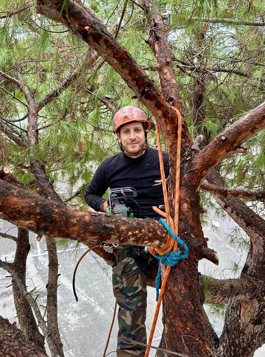 Gionatan Ciavatti durante un intervento di potatura in tree climbing