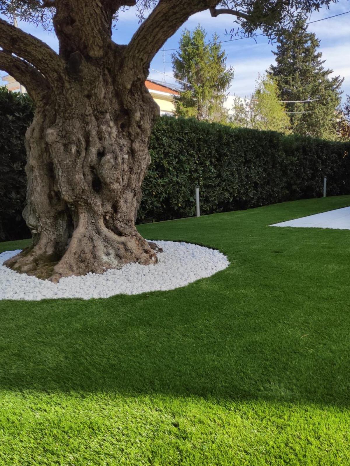 Giardino con prato in erba sintetica realizzato attorno a un ulivo